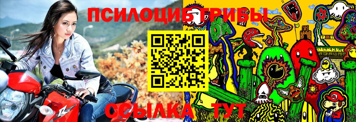 Галлюциногенные грибы Magic Shrooms Качканар