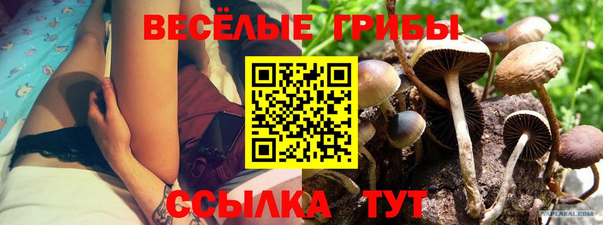 где можно купить   Вход с VPN  Качканар  Галлюциногенные грибы ЛСД 